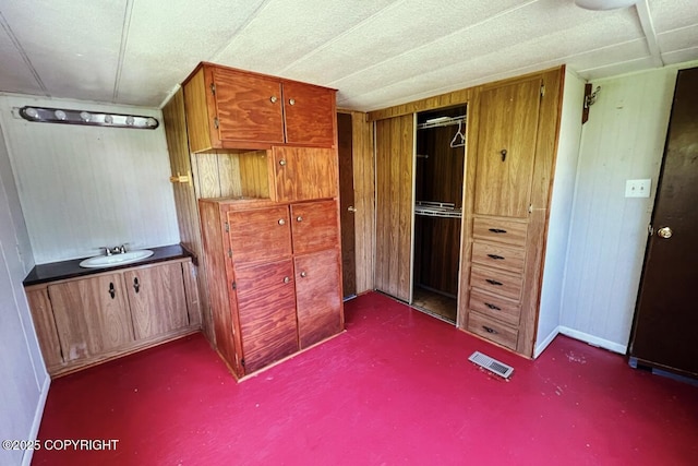 450 Noview Ave, Homer, AK 99603 - bedroom featuring a sink, wooden walls, and a closet