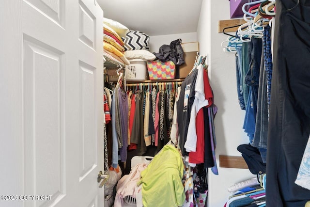 4245 Scenic View Dr, Anchorage, AK 99504 - view of walk in closet