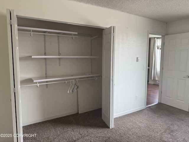 1008 Wildrose Ct, Anchorage, AK 99518 - view of closet