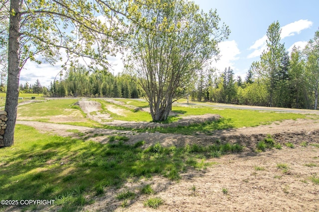 37653 Deville Rd, Soldotna, AK 99669 - view of green lawn