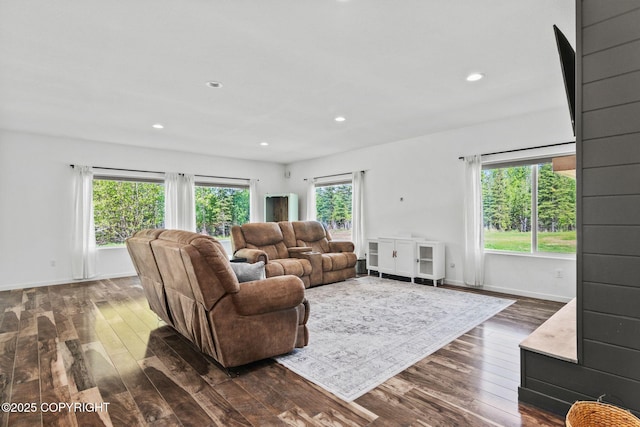 37653 Deville Rd, Soldotna, AK 99669 - living area featuring dark wood-style floors, recessed lighting, and baseboards