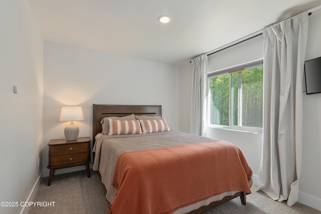 1645 N Vroman Dr, Palmer, AK 99645 - carpeted bedroom with baseboards and recessed lighting