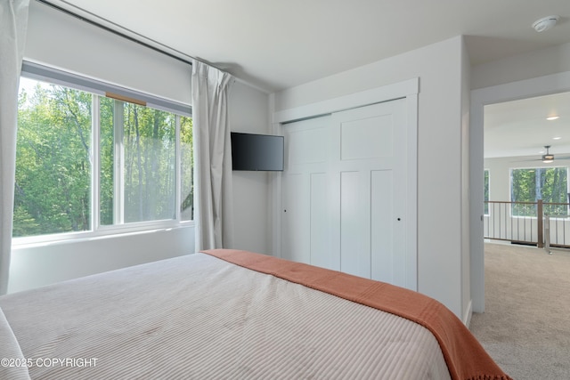 1645 N Vroman Dr, Palmer, AK 99645 - carpeted bedroom with a closet