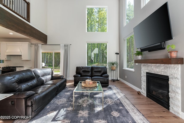 1645 N Vroman Dr, Palmer, AK 99645 - living room with a towering ceiling, wood finished floors, baseboards, and a fireplace