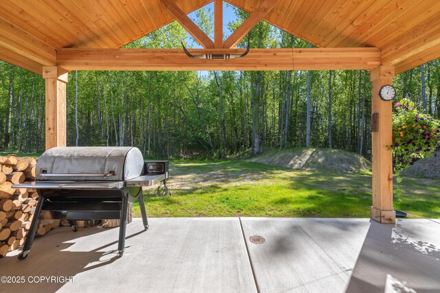 1645 N Vroman Dr, Palmer, AK 99645 - view of patio with grilling area and a wooded view