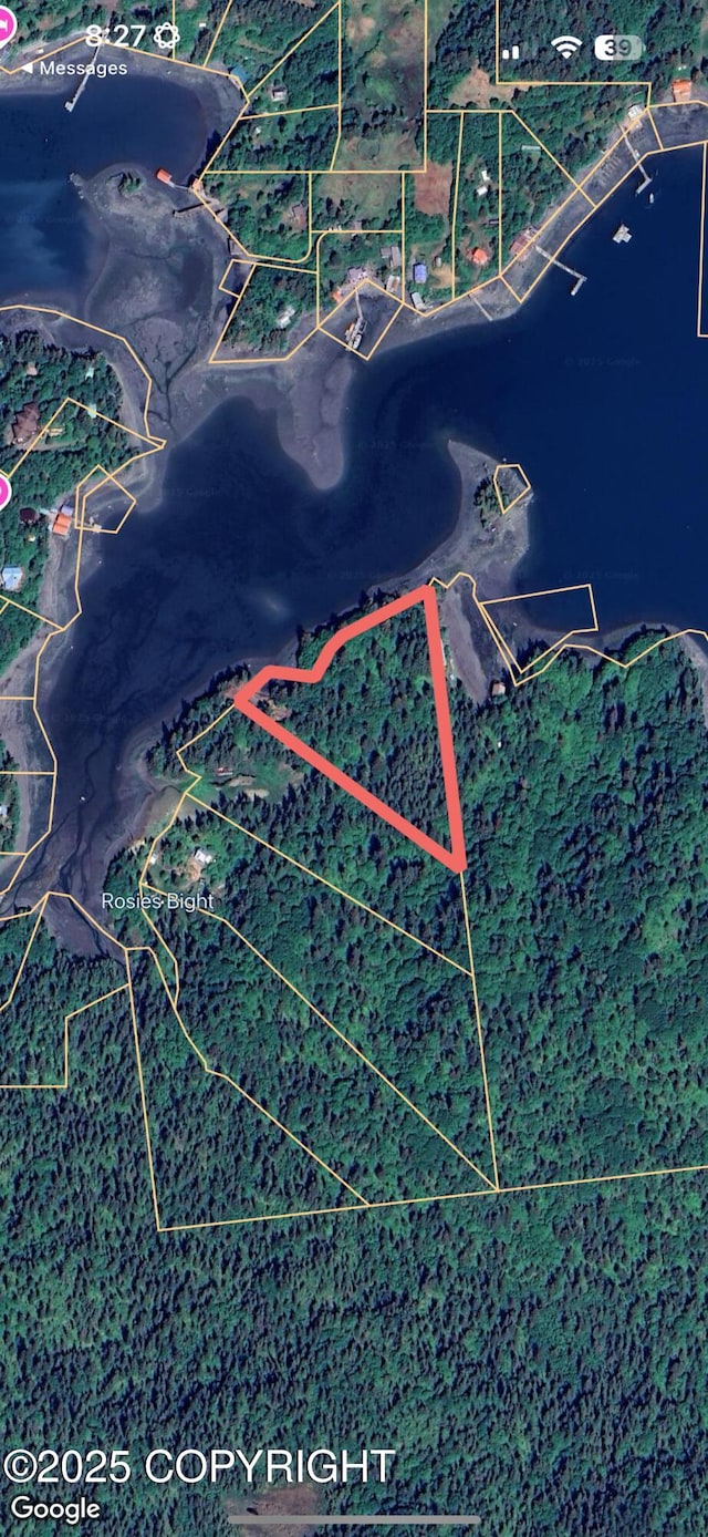51775 SW Halibut Cove Rem, Halibut Cove, AK 99603 - aerial map of property and surrounding area