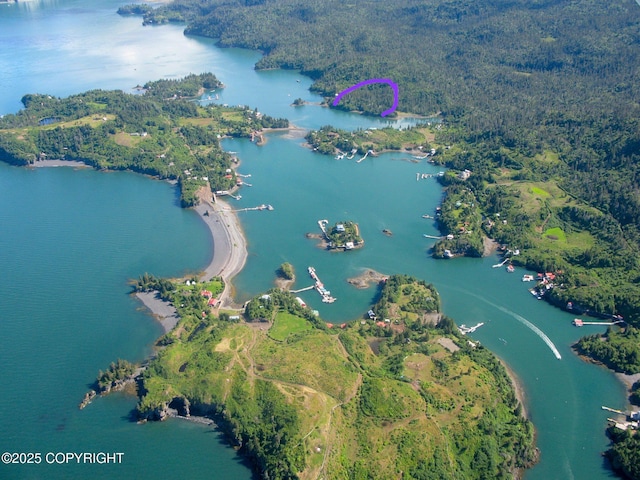 51775 SW Halibut Cove Rem, Halibut Cove, AK 99603 - aerial view of a large body of water and a heavily wooded area