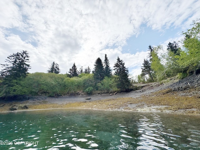 51775 SW Halibut Cove Rem, Halibut Cove, AK 99603 - water view