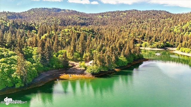 51775 SW Halibut Cove Rem, Halibut Cove, AK 99603 - photo 12