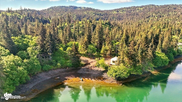 51775 SW Halibut Cove Rem, Halibut Cove, AK 99603 - photo 16
