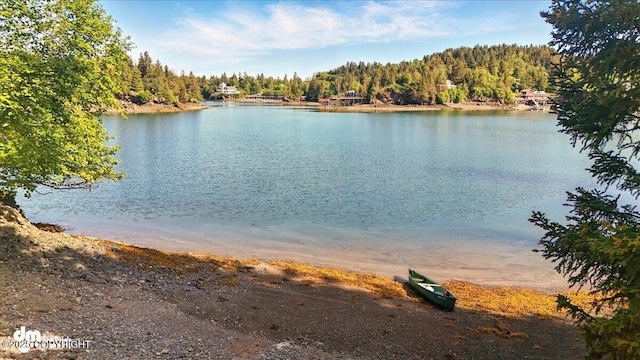 51775 SW Halibut Cove Rem, Halibut Cove, AK 99603 - photo 21