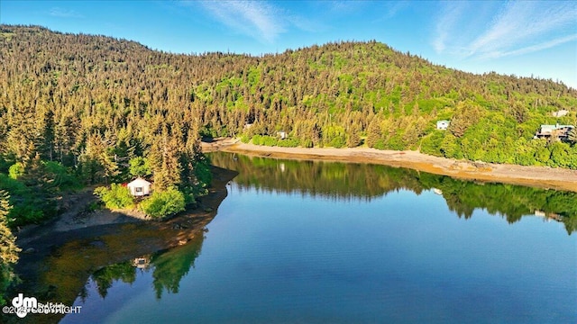 51775 SW Halibut Cove Rem, Halibut Cove, AK 99603 - photo 23