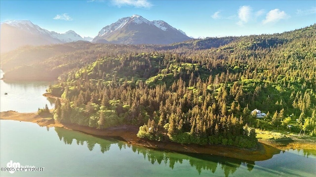 51775 SW Halibut Cove Rem, Halibut Cove, AK 99603 - photo 24