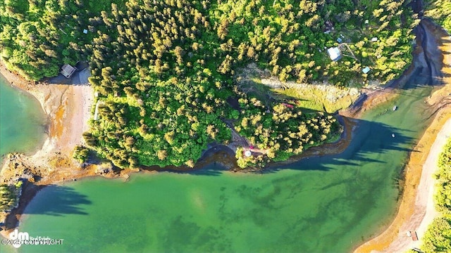 51775 SW Halibut Cove Rem, Halibut Cove, AK 99603 - photo 25