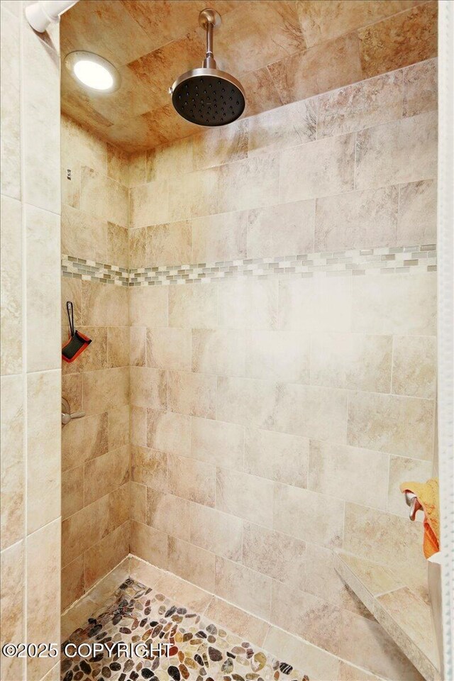 7965 S Settlers Bay Dr, Wasilla, AK 99623 - full bath with tiled shower