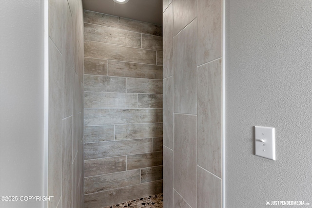 5167 E Henhouse Loop, Wasilla, AK 99654 - full bath with a tile shower