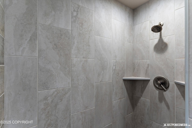 5167 E Henhouse Loop, Wasilla, AK 99654 - bathroom view of a tile shower