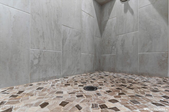 5167 E Henhouse Loop, Wasilla, AK 99654 - bathroom view of a tile shower