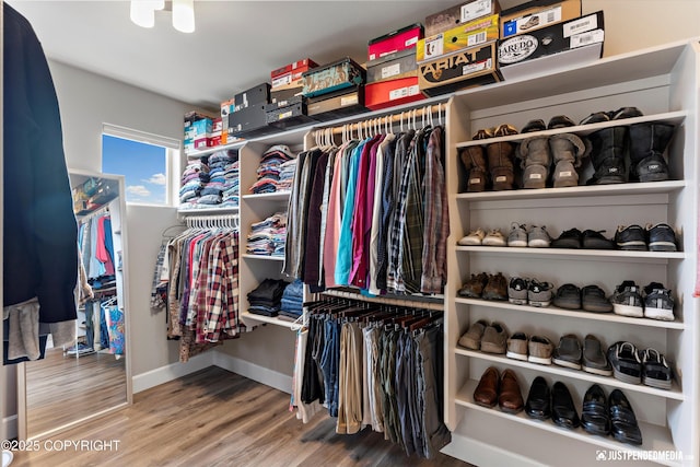 5167 E Henhouse Loop, Wasilla, AK 99654 - spacious closet with wood finished floors