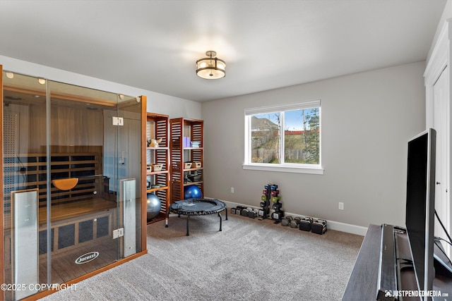 5167 E Henhouse Loop, Wasilla, AK 99654 - living area with a sauna / steam room, carpet flooring, and baseboards