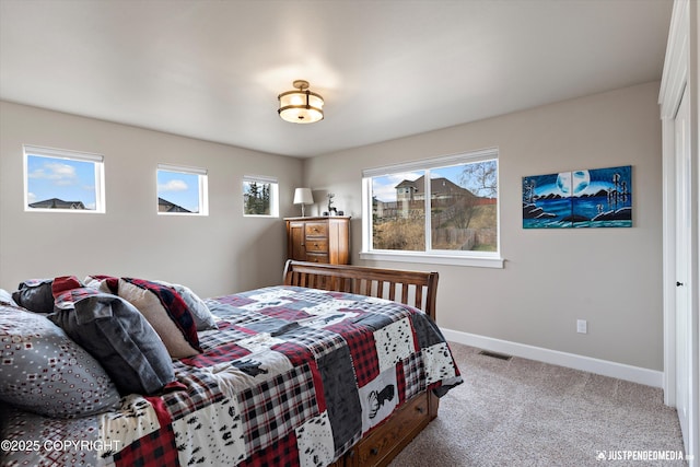5167 E Henhouse Loop, Wasilla, AK 99654 - bedroom with carpet floors and baseboards
