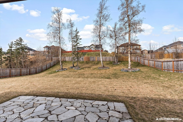 5167 E Henhouse Loop, Wasilla, AK 99654 - view of yard with a patio area and a residential view