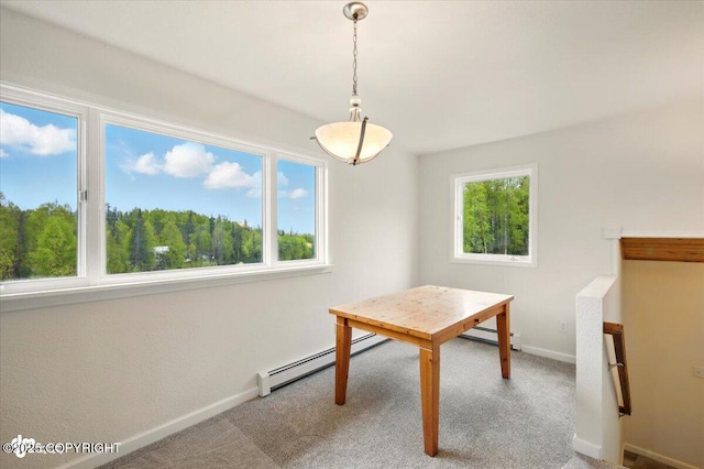 14045 W Willow Fishhook Rd, Willow, AK 99688 - unfurnished dining area featuring a baseboard radiator, carpet, baseboards, and a baseboard heating unit