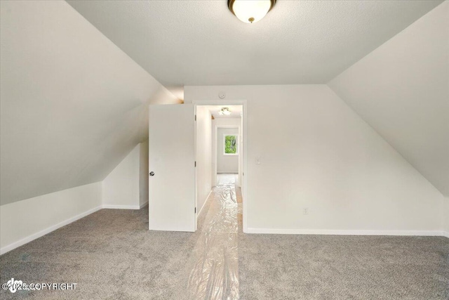 14045 W Willow Fishhook Rd, Willow, AK 99688 - bonus room with carpet floors, lofted ceiling, baseboards, and a textured ceiling