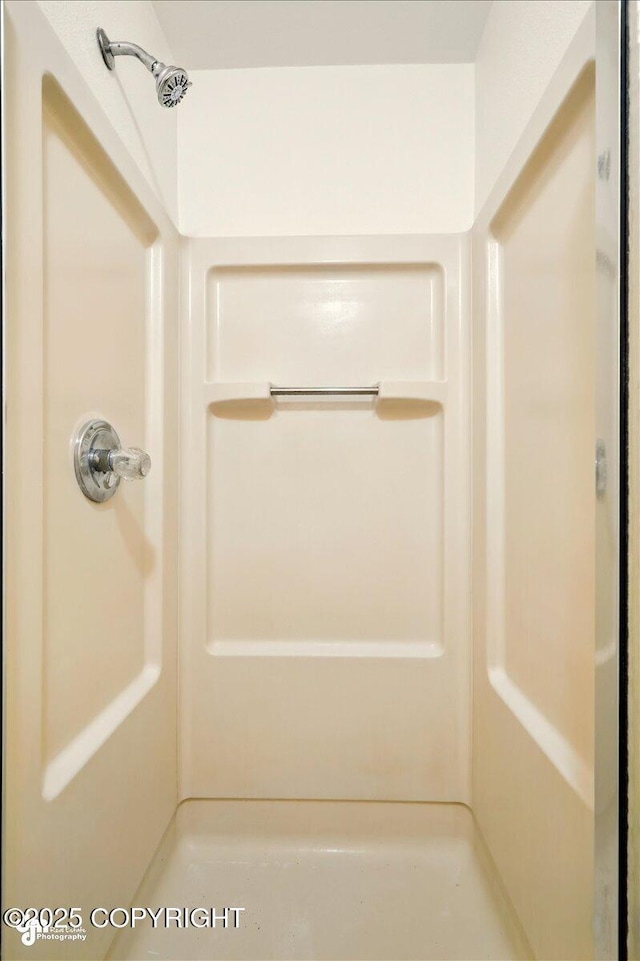 14045 W Willow Fishhook Rd, Willow, AK 99688 - bathroom view of a shower