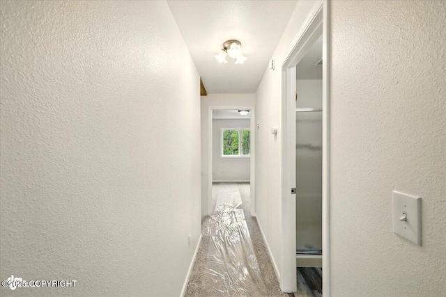 14045 W Willow Fishhook Rd, Willow, AK 99688 - hallway with baseboards and a textured wall