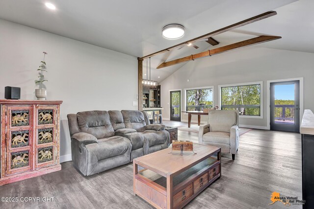 16111 E Nosey Ave, Talkeetna, AK 99676 - living area featuring baseboards, wood finished floors, a chandelier, and recessed lighting