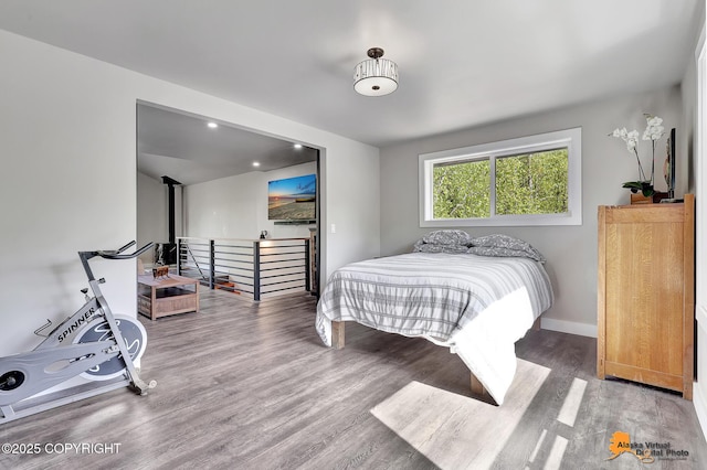 16111 E Nosey Ave, Talkeetna, AK 99676 - bedroom featuring wood finished floors, baseboards, and recessed lighting