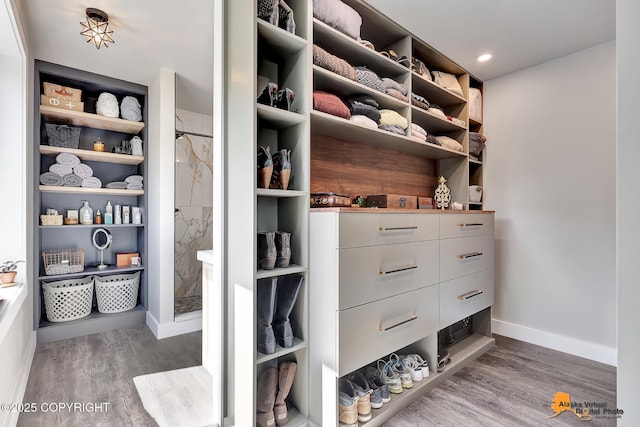 16111 E Nosey Ave, Talkeetna, AK 99676 - walk in closet featuring wood finished floors