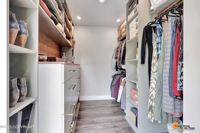16111 E Nosey Ave, Talkeetna, AK 99676 - walk in closet with wood finished floors