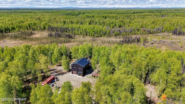16111 E Nosey Ave, Talkeetna, AK 99676 - view of subject property with a forest