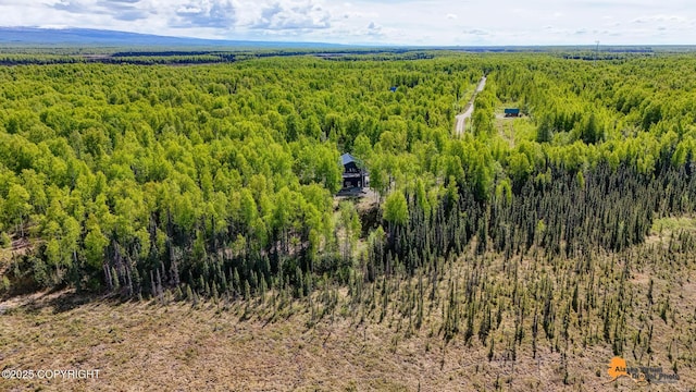 16111 E Nosey Ave, Talkeetna, AK 99676 - drone / aerial view of a forest