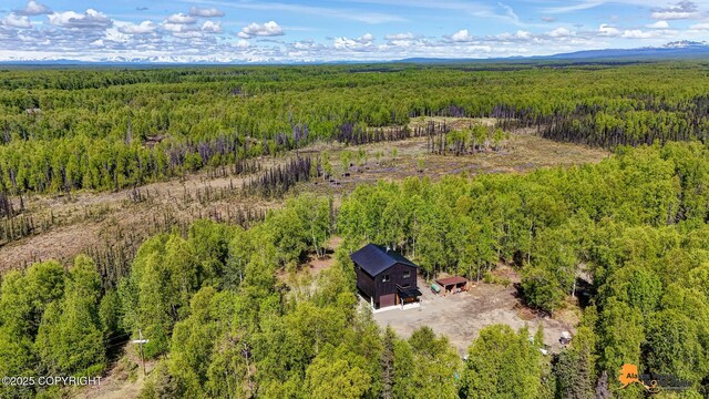 16111 E Nosey Ave, Talkeetna, AK 99676 - bird's eye view of a forest