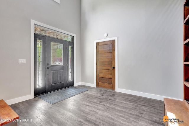 16111 E Nosey Ave, Talkeetna, AK 99676 - foyer entrance featuring a towering ceiling, wood finished floors, and baseboards
