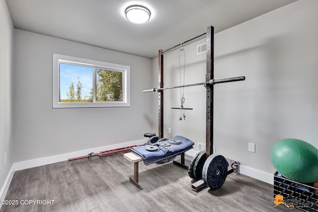16111 E Nosey Ave, Talkeetna, AK 99676 - workout room with wood finished floors and baseboards