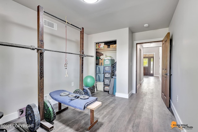 16111 E Nosey Ave, Talkeetna, AK 99676 - exercise room with wood finished floors and baseboards