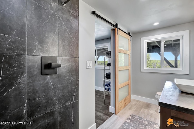 16111 E Nosey Ave, Talkeetna, AK 99676 - bathroom with vanity, wood finished floors, toilet, baseboards, and a shower