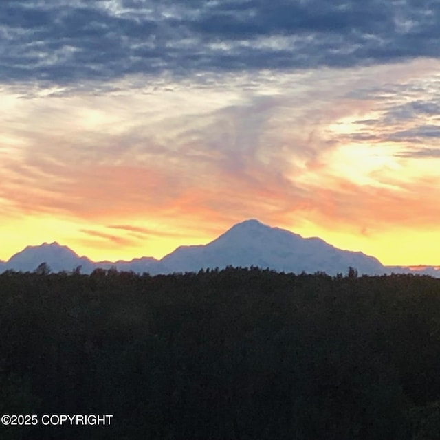 16111 E Nosey Ave, Talkeetna, AK 99676 - view of mountain background