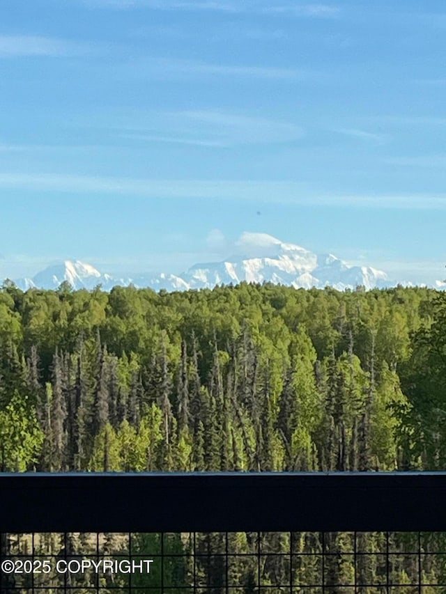 16111 E Nosey Ave, Talkeetna, AK 99676 - view of mountain background featuring a forest