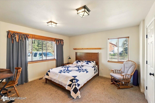34540 Poppy Wood St, Soldotna, AK 99669 - carpeted bedroom with baseboards