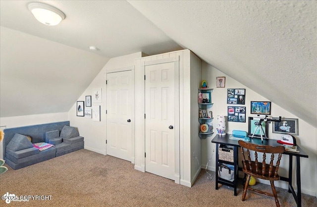 34540 Poppy Wood St, Soldotna, AK 99669 - carpeted office with vaulted ceiling and a textured ceiling