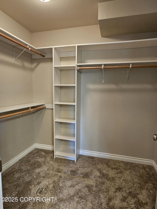 5523 Grand Teton Loop, Anchorage, AK 99502 - spacious closet featuring carpet flooring