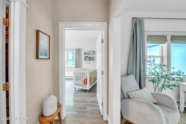 4850 N Riverstone Cir, Palmer, AK 99645 - hall featuring light wood-style floors and a baseboard heating unit