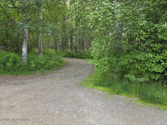 5650 N Talgach View Dr, Wasilla, AK 99654 - view of road