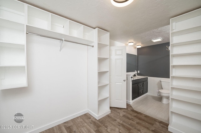 13311 Cove Cir, Anchorage, AK 99515 - spacious closet featuring wood finished floors and a sink
