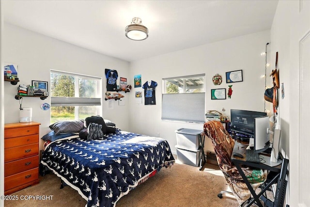 47974 Barney Ct, Soldotna, AK 99669 - carpeted bedroom with a desk